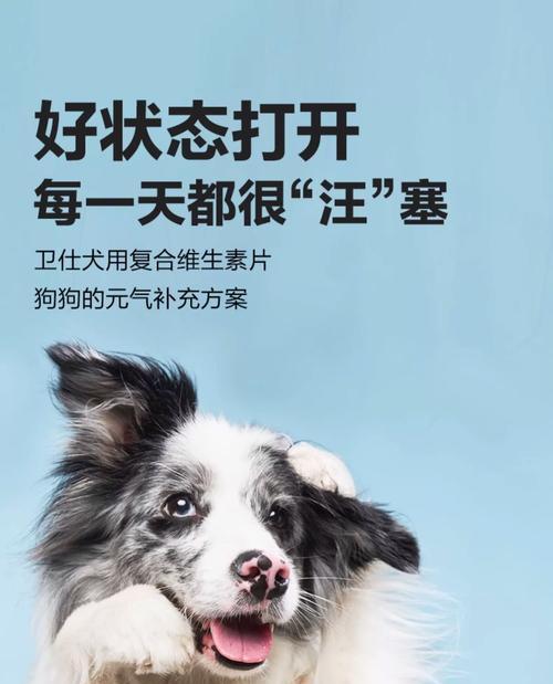 探索狗狗微量饮食的有效果（揭秘狗狗微量饮食的健康秘密）