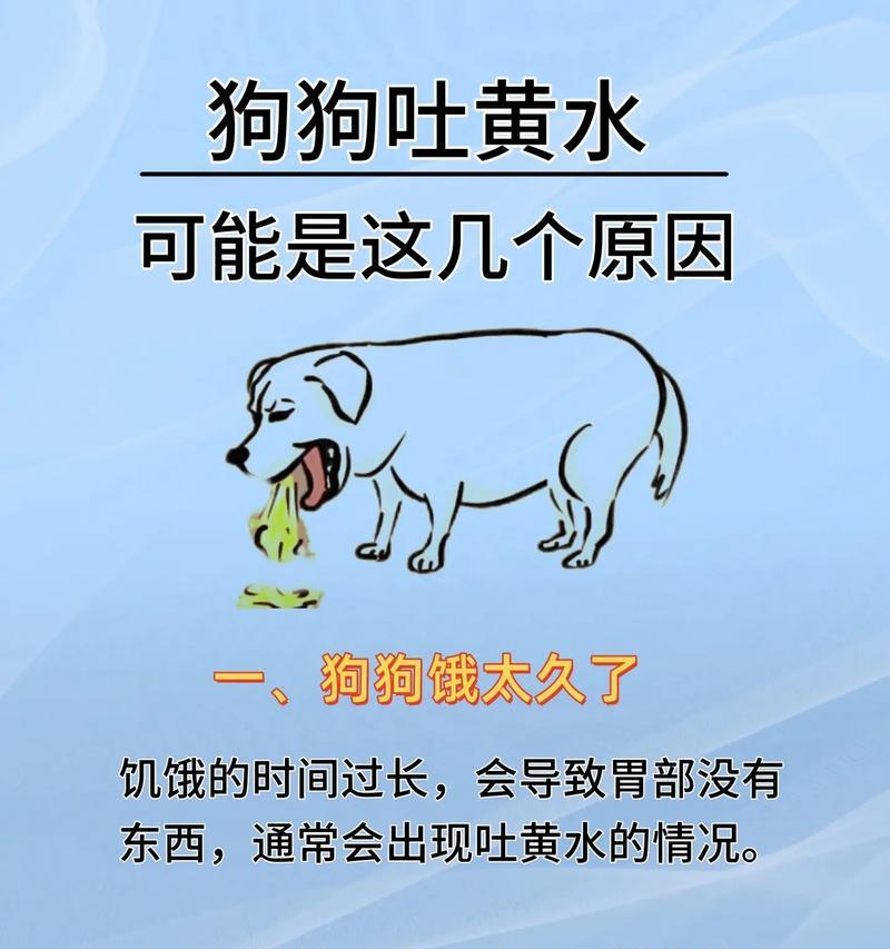 探索狗狗呕吐的危险原因（除了过量摄食，还有哪些威胁宠物犬健康的情况？）