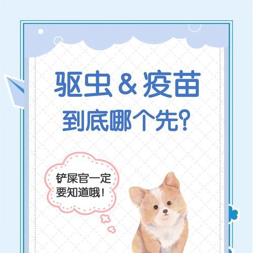 狗接种疫苗后多久可以摸针口？（了解狗疫苗接种后的护理时间表）
