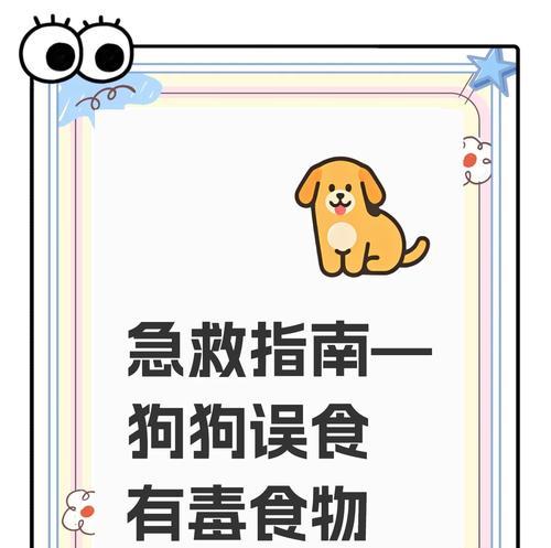 狗狗中毒急救指南（保护你的狗狗免受中毒的伤害，了解急救措施）