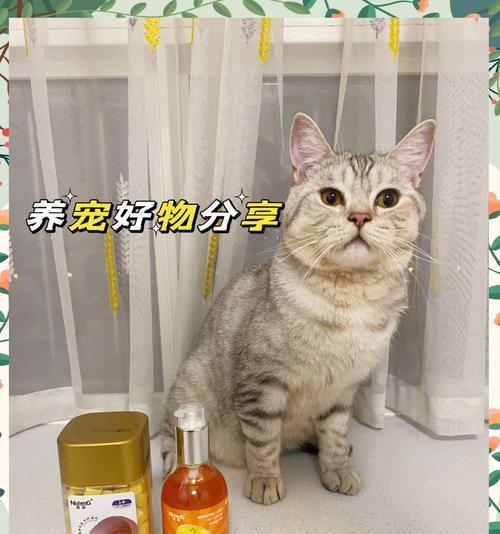 解决猫咪掉毛问题的有效方法（减少猫咪掉毛，让家庭更清洁舒适）