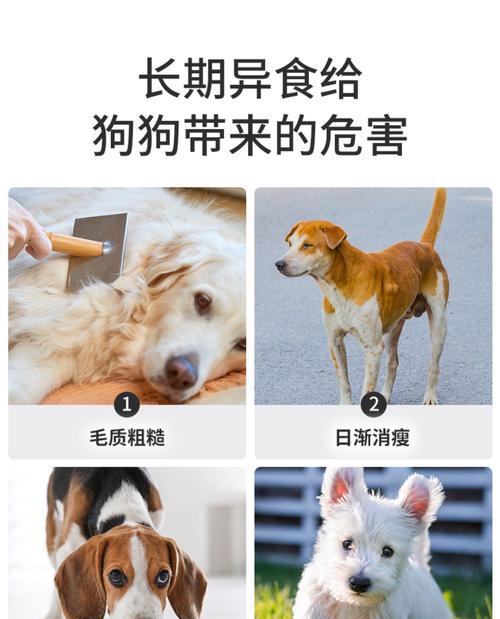 狗狗缺乏微量元素的症状及其预防方法（了解狗狗缺乏微量元素的迹象，保护它们的健康）