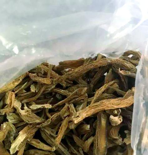 春天饲养画眉鸟的除虫知识（保护画眉鸟健康的关键是做好除虫工作）