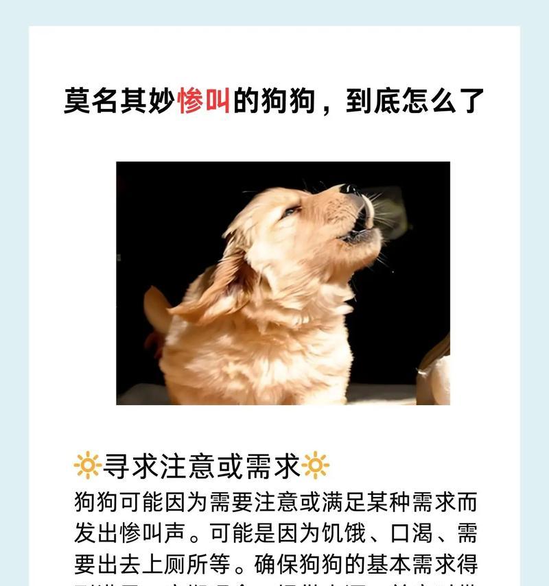 狗狗为什么会发抖？（探究狗狗发抖的主要原因）