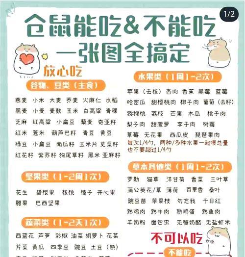 养仓鼠的经济实惠之道（算一笔账，养仓鼠究竟要花多少钱？）