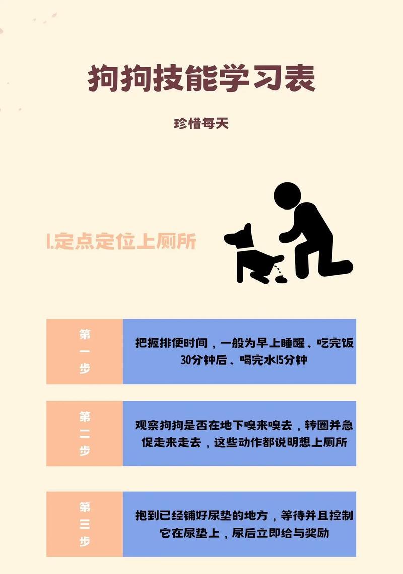 狗狗学习不同技能的最佳时间间隔（提高狗狗学习效果的关键是恰到好处的时间间隔）