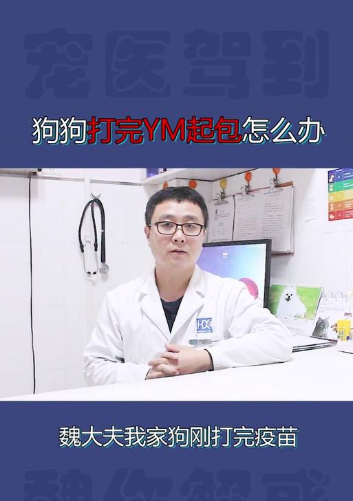 狗狗打针时间表与注意事项（保护你的爱宠免受疾病侵袭）