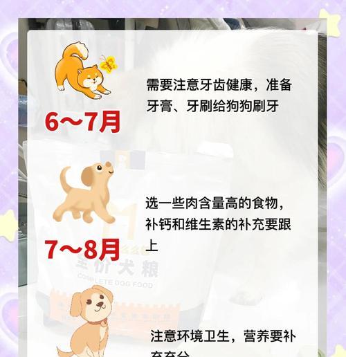 狗狗饮食（探讨狗狗饮食中酸奶的合适喂养频率，保持宠物健康和营养平衡）