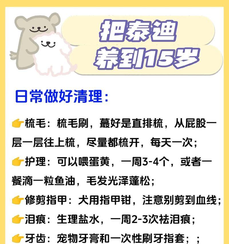 泰迪狗的睡眠需求及养护建议（泰迪狗每天适宜睡眠时长及注意事项）
