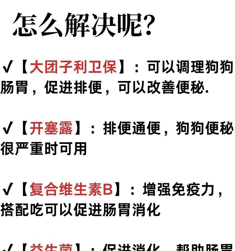 狗狗便秘怎么办？（原因分析与常见治疗方法）