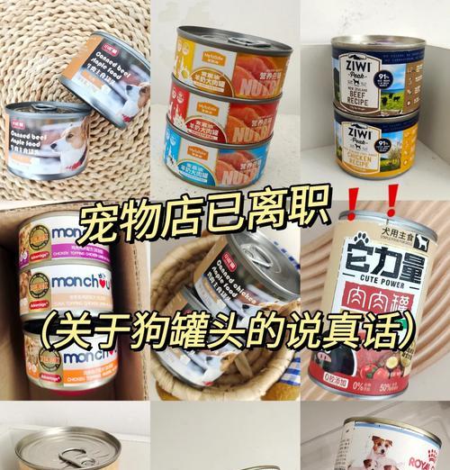 新手养狗狗指南——物品推荐与避坑攻略（新手养狗狗必备好物推荐与避坑经验分享，让你成为贴心狗主人！）