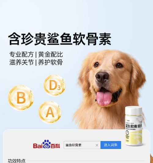 金毛幼犬何时适合开始补充钙片？（了解适合金毛幼犬吃钙片的最佳时机和注意事项）
