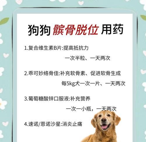 狗狗髌骨移位的康复时间究竟需要多长？（解析狗狗髌骨移位的治愈过程及关键因素）