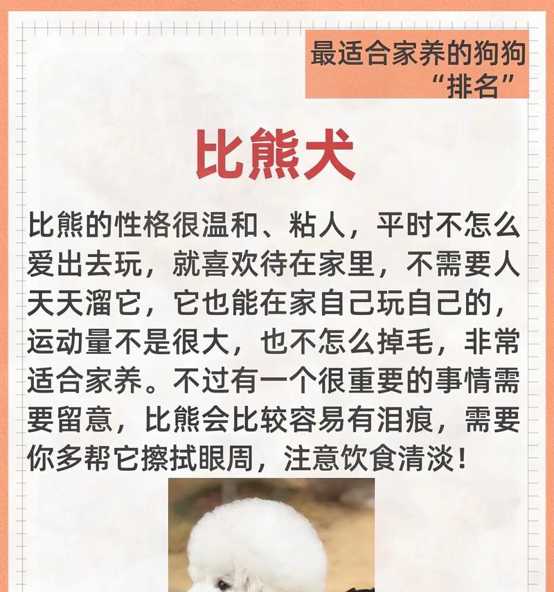 狗的品种和价格一览（探索不同品种狗的价格区间）