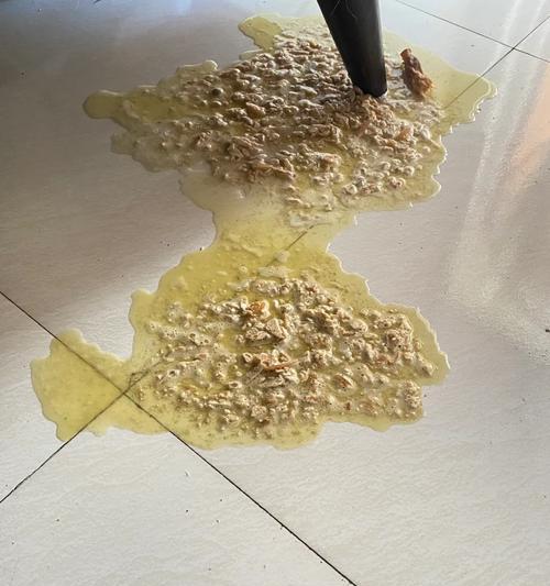 狗狗高血压（宠物狗高血压的表现和治疗方法）