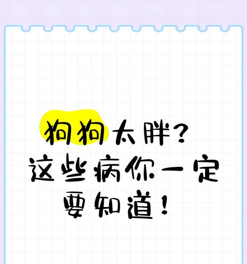 狗狗肥胖的原因与科学减重方法（探究狗狗肥胖的危害及有效减重方案）