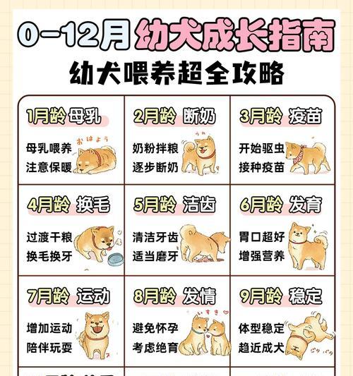 狗狗到家多久开始叫？（探讨狗狗适应新环境需要的时间和条件）