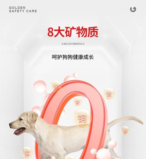 狗狗的微量元素需求及重要性（探究狗狗对微量元素的需求，保障其健康成长）