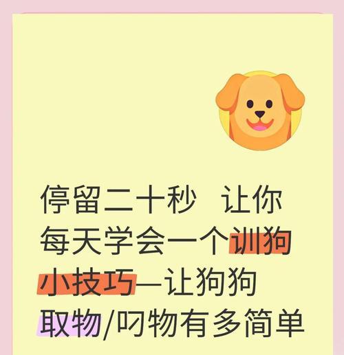 超简单训狗秘诀（快速训练，轻松教会狗狗握手）