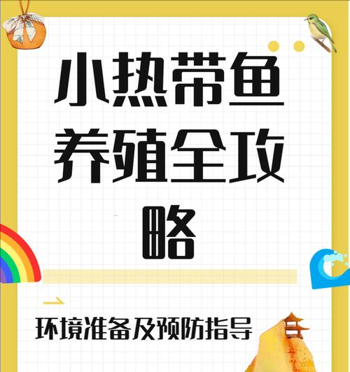 热带鱼喂食频率的重要性（科学饲养需掌握的喂食频率知识）