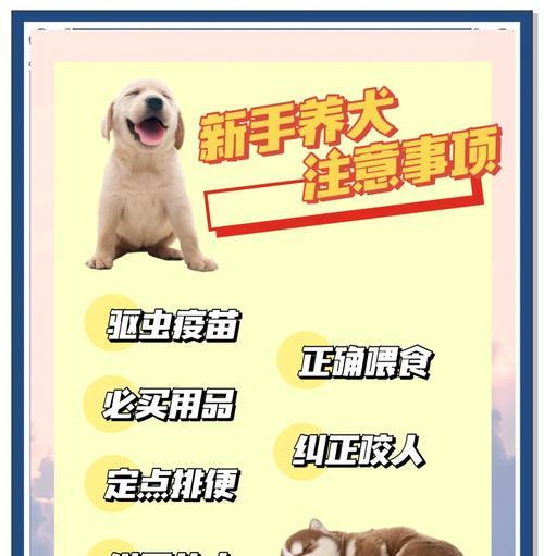 狗狗回家后多久需要驱虫？（驱虫时间和方法全解析）