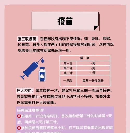 幼年猫的疫苗接种时间及注意事项（保护宝贝猫咪健康的关键一步）
