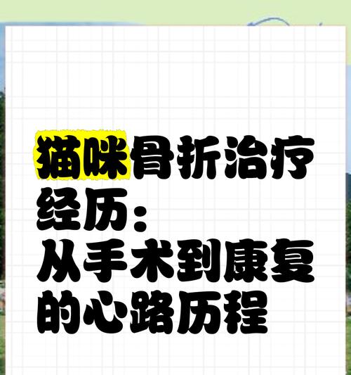 猫腿骨折（探索猫腿骨折的康复过程及时间预估）