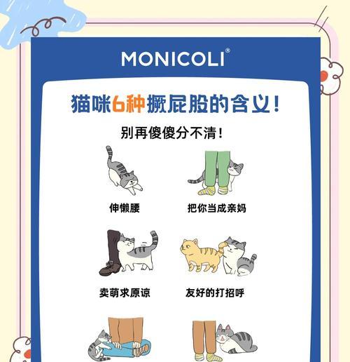 猫咪为什么会舔屁屁？（探究猫咪舔屁屁的原因及生存本能）