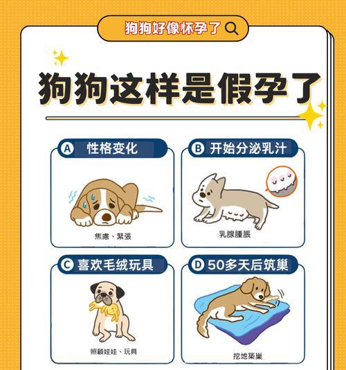 狗狗怀孕的时间周期及观察方法（了解狗狗怀孕的迹象和时长）