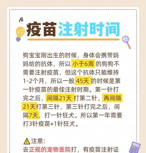 贵宾疫苗接种后的毛发护理指南（多久可以给贵宾剃毛？接种贵宾疫苗后毛发护理注意事项）