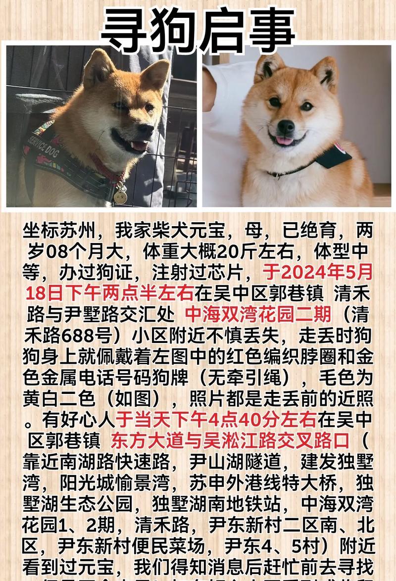 苏州禁养狗种解析（不得饲养的犬种及相关规定）