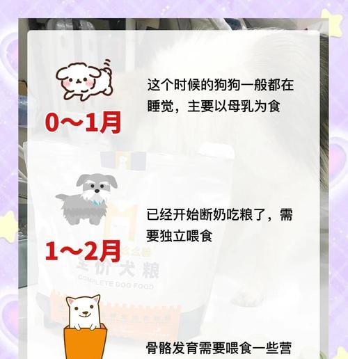 小狗喝母乳的时间要控制得当（合理安排喂奶时间，健康成长）