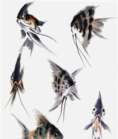 七彩神仙鱼遭遇缩鳍、黑体、扎堆等问题的研究（探讨七彩神仙鱼缩鳍、黑体、扎堆等问题的原因与解决方法）