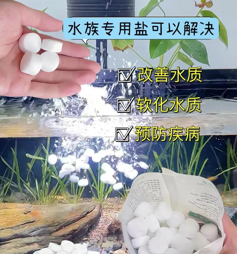 如何正确放置水族箱里的盐水？（科学调节盐度，保证鱼儿健康）
