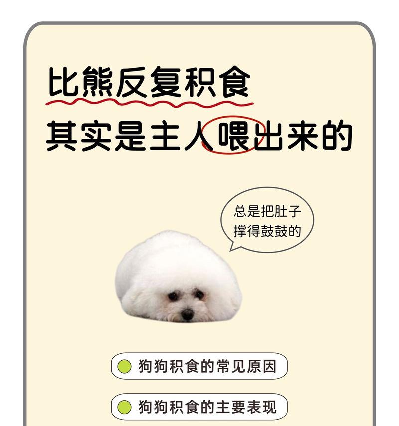 比熊的生产周期与饮食需求（探索比熊生产周期及饮食要点）