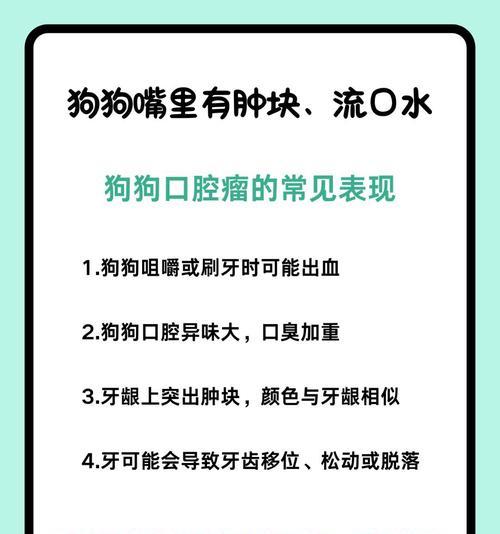 狗狗口臭问题大揭秘（探究狗狗嘴巴不停空咀嚼的原因及解决方案）
