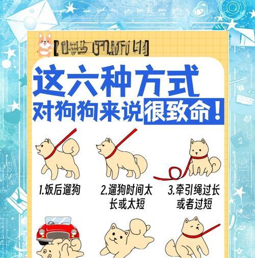狗子饭后遛弯的最佳时间探讨（饭后多久遛弯最合适？饲主必看的时间安排指南）