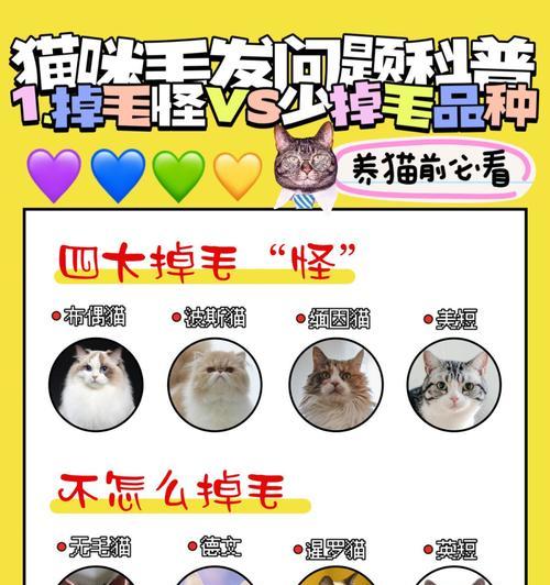小猫养育多久可放养？（探讨小猫成长过程中适合放养的时机与方式）
