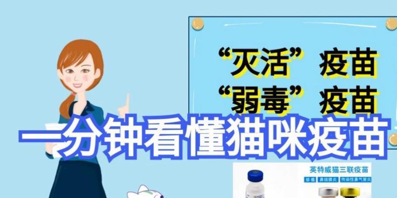 猫咪疫苗的重要性（了解猫咪疫苗保护宠物健康的关键）