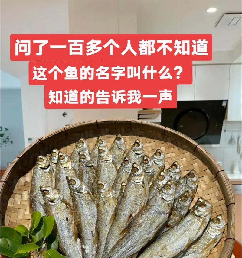 扁鱼的奇特之处（探索扁鱼头上洞穴的奥秘和治疗方法）