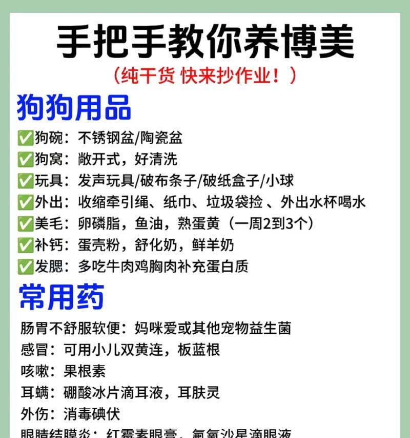 博美生小狗的疼痛持续时间（了解博美生小狗疼痛的持续时间和疼痛缓解方法）
