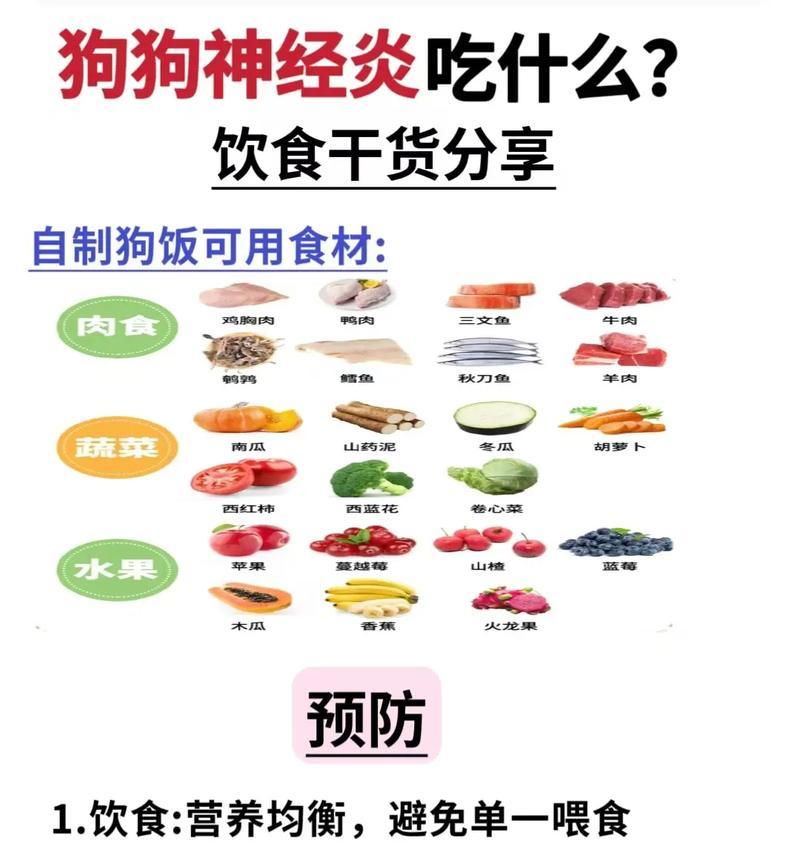 如何正确喂养小狗狗？（喂食量、频率与食物选择的指南）