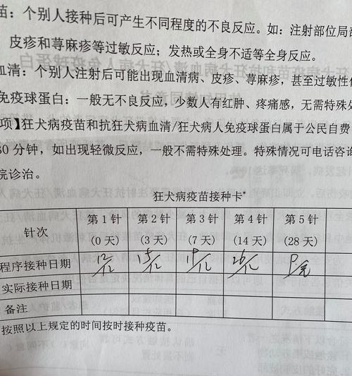 狂犬疫苗接种频率的探讨（科学建议下的接种时间间隔和关键因素）