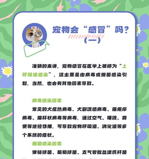 狗狗感冒发烧（解析狗狗感冒发烧康复周期及注意事项）
