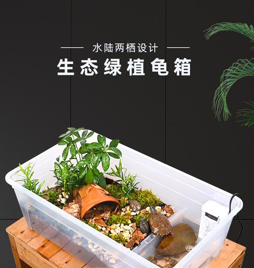 草龟的最适宜饲养水位是多少？（了解草龟的水环境需求，让它们健康成长）