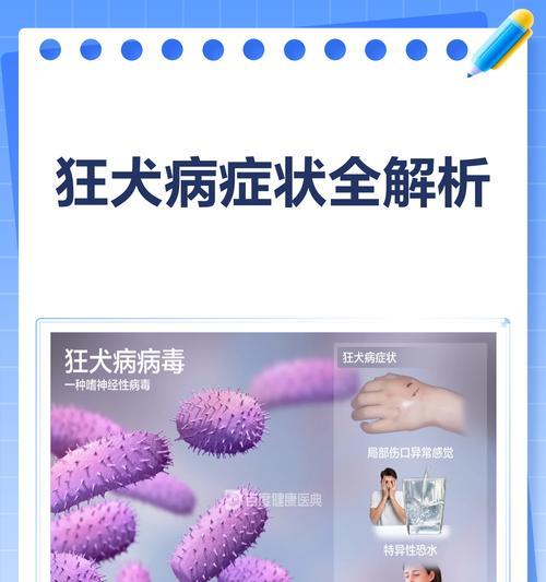 狂犬病期症状全面解析（了解狂犬病期症状，保护自己和他人的生命安全）