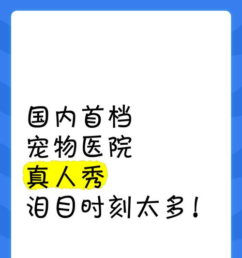 国内宠物节目大盘点——陪伴你的萌宠时刻（国内宠物节目）