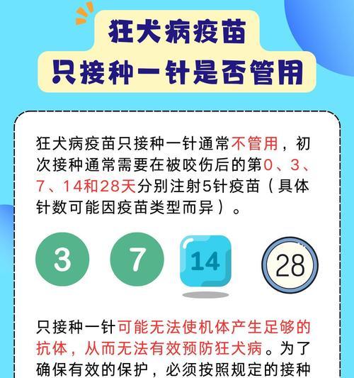 狗狗狂犬病疫苗接种时间的重要性（为宠物狗提供最佳疫苗保护）