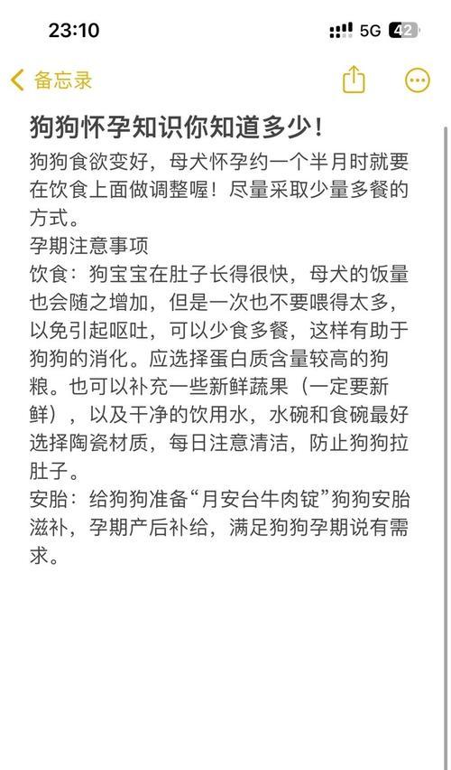 狗怀孕了多久能洗澡？（了解狗狗洗澡的最佳时间与注意事项）