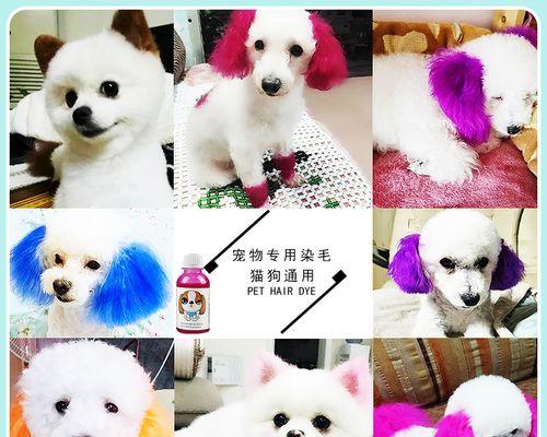 狗狗染发安全性探究（植物染发剂对狗狗的伤害程度与人类相比有多大？）